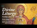 Divine Liturgy  | The Sunday of the Fathers of the 1st Ecumenical Council| June 16, 2024