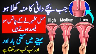 Bachedani Ka Muh Kab Kab kulta  hai |Period ke kitne din baad Pregnancy hoti hai |Ovulation Symptoms