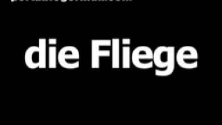 German word for fly is die Fliege