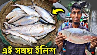 ঢাকা দোহার মেঘুলা ঘাটে এখন ইলিশ মাছ আসলো কোথায় থেকে আর কত টাকায় বিক্রি হচ্ছে দেখুন Big Fish Market