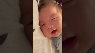 【生後2ヶ月】ママのお腹の上で寝落ちしそうな赤ちゃん #shorts #baby #赤ちゃん