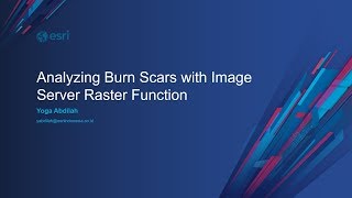 Normalized Burn Ratio Analysis using ArcGIS Image Server in Portal