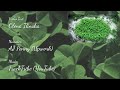 clover short nature documentary about garden clover nature textures tv