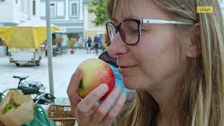 City Tour Villach | Organic farmers market EN