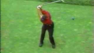 Tiger Woods Overhead View