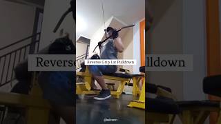 Reverse Grip Lat Pulldown | Build a Stronger Back #gym #workout #latpulldown