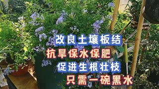 土壤板結一碗黑水來搞定！