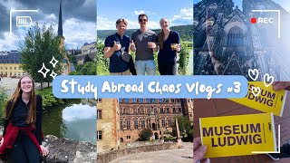 |Study Abroad Chaos Vlog #3| Day trip to Luxembourg, Heidelberg and Cologne, Wine tours, Museums