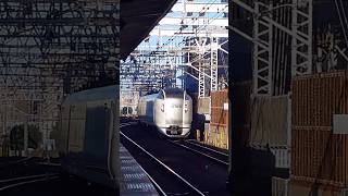 E259 series at Ichikawa Station, Chiba, Japan, December 2024