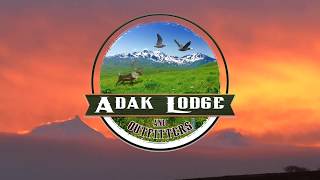 Adak Halibut Fishing Charters Aleutian Islands Top Outfitters Fishing, Duckhunting or  Caribou