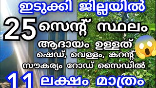 ആദായമുള്ള 25 സെന്റ് 11 ലക്ഷം ഷെഡ്‌, വെള്ളം, കറന്റ്‌ സൗകര്യം റോഡ് സൈഡ്👌#lowbudget