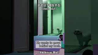 【愛犬の隠し撮り】夜中にこっそり移動させるシーズー犬バル君 #Shorts