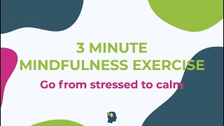 3 MINUTE MINDFULNESS Exercise | (2022) Stress and Anxiety Release