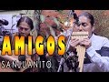 AMIGOS || South American Music || Sanjuanito