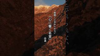 一度聞くと忘れられない名言8選『心に響く名言』#72. #名言 #名言集 #心に響く言葉