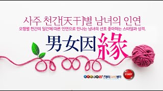 사주의 천간[天干]별 남녀[男女]의 인연[因緣]이 깊고 많은 성격[性格]과 스타일