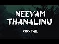 Neeyam thanalinu thazhe(Lyrics) -  Cocktail