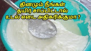 தினமும் நீங்கள் தயிர் சாப்பிட்டால் உடல் எடை அதிகரிக்குமா ?