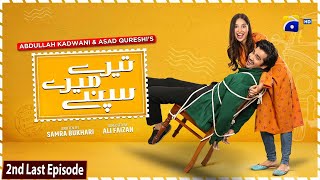 Tere Mere Sapnay 2nd Last Episode 38 - [Eng Sub] - Shahzad Sheikh - Sabeena Farooq - 13th April 2024