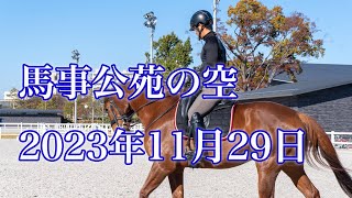 11月29日 馬事公苑の上空