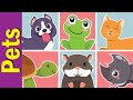 Pets Vocabulary Chant for Children | Fun Kids English