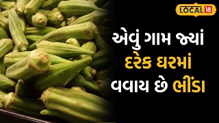 Business news | ગુજરાતનું આ ગામ ભીંડાની ખેતી માટે જાણીતું, રોજની આટલી છે આવક | #local18