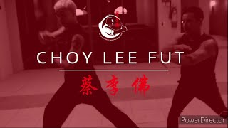 Choy Lee Fut Kung Fu Quest - Visiting my Sifu