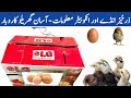 Fertile Eggs Handling and Incubator information | Small Scale Business Idea | Dr. ARSHAD