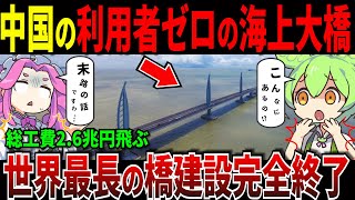 なぜ作った？世界の大失敗！中国の巨大インフラが無人すぎて崩壊寸前w【ずんだもん＆ゆっくり解説】