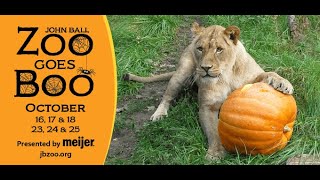 Zoo Goes Boo 2020!