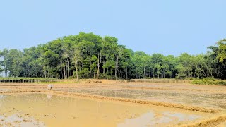 নানি বাড়ি🌲🥰