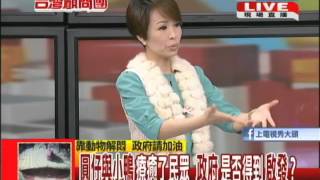 2013.12.27台灣顧問團part4　圓仔與小鴨療癒了民眾　政府是否得到啟發？