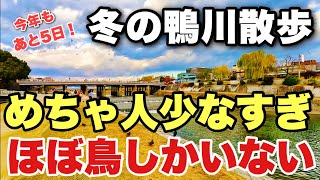 【4K】2024年12月26日（木）冬の京都鴨川はめちゃ人少なすぎでほぼ鳥しかいない！冬天的京都鸭川沿岸散步。A walk along the Kamo River in Kyoto japan