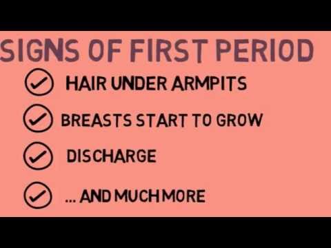 First Period Quiz First Period Quiz