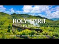 IN HIS PRESENCE: HOLY SPIRIT | Instrumental Worship and Scriptures with Nature | Christian Harmonies