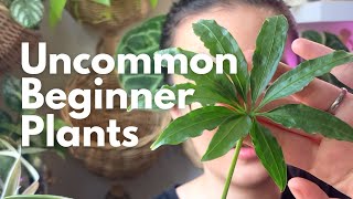 10 Unique and Easy Plants For Beginners