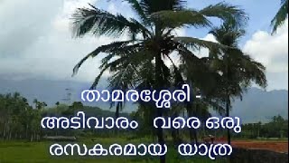 Scenic Drive - Thamarassery to Adivaram | താമരശ്ശേരി - അടിവാരം യാത്ര