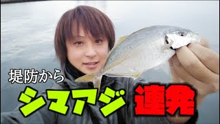 今激アツの釣り！シマアジが堤防で入れ食い状態！