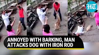 Delhi: Barking dog leads to violent brawl; Man thrashes neighbour & their pet with iron rod