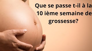 Que se passe t'il à la 10 ième semaine de grossesse