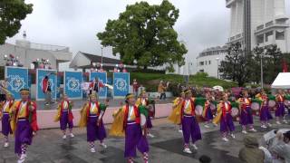 よさこい鳴子連　今日一屋（よさこい夢まつり2015）本祭一日目