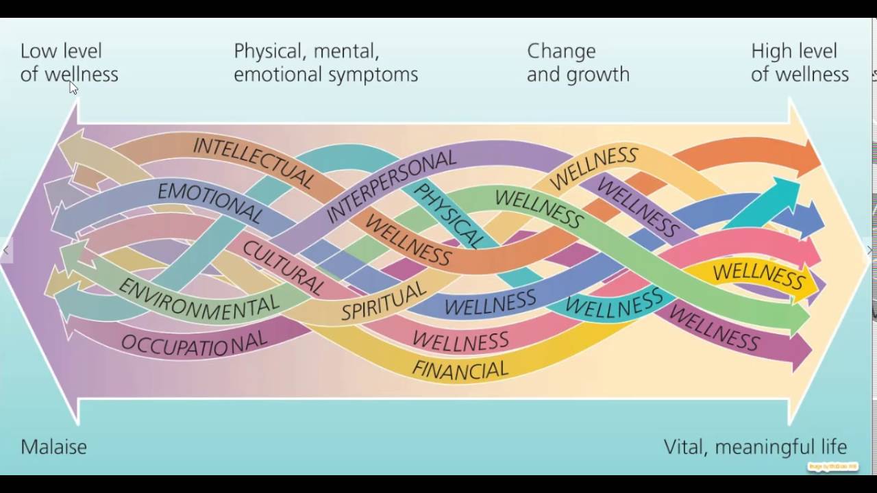 The Wellness Continuum - YouTube