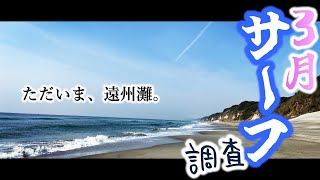 私は帰ってきた！！３月の遠州灘サーフで釣れたのは？？【豊橋サーフ】