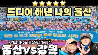 조기우승확정이 가장 쉬웠어요! 나의 자부심 울산 💙💛| K리그1 R36 울산HDvs강원FC[#모찌의모찐하루]