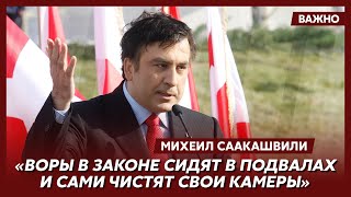 Саакашвили о войне с грузинской мафией