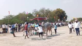 S ఉప్పలపాడు గ్రామంలో న్యూ క్యాటగిరి విభాగంలో 14జతగా