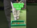 桜美式ライジングパット　トレーニング