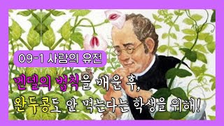 젤리쌤의 생명과학1 25차시 : 09 사람의유전 #1