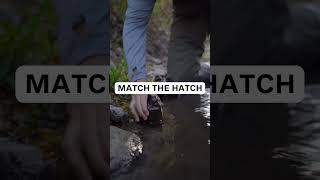 Match the Hatch - Fly Fishing Tips for Trout