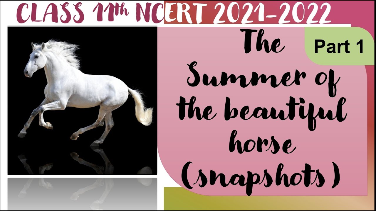 The Summer Of The Beautiful White Horse Class 11| By Padhai Ki Tanki ...